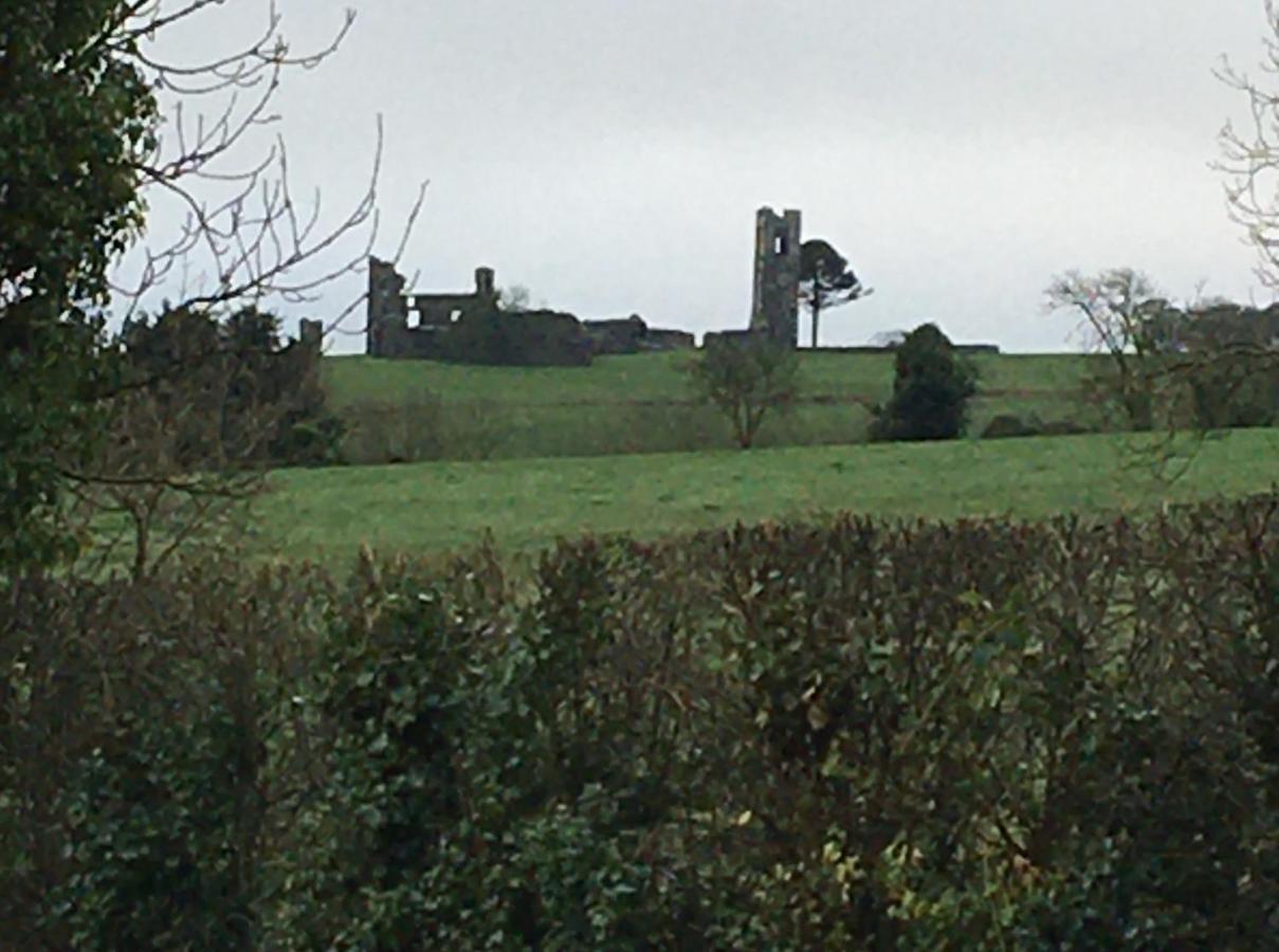 Grangegeeth Inn Slane Esterno foto